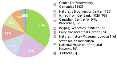 Bold Systems Taxonomy Browser Tephritis Genus