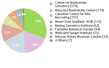 Bold Systems Taxonomy Browser Tephritis Genus