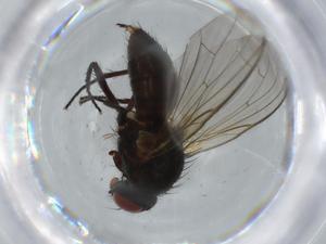  ( - BIOUG62867-B08)  @11 [ ] CreativeCommons - Attribution (2020) Centre for Biodiversity Genomics Centre for Biodiversity Genomics