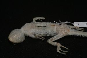  ( - NR-024 a.)  @13 [ ] Unspecified (default): All Rights Reserved  Unspecified Unspecified