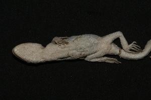  ( - ZMMU-R-6920-1)  @13 [ ] Unspecified (default): All Rights Reserved  Unspecified Unspecified