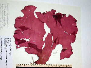  ( - B057GWS)  @11 [ ] Unspecified (default): All Rights Reserved  Unspecified Unspecified
