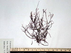  ( - GWS009202a)  @11 [ ] Unspecified (default): All Rights Reserved  Unspecified Unspecified