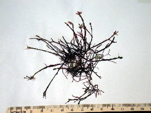  ( - GWS009202d)  @11 [ ] Unspecified (default): All Rights Reserved  Unspecified Unspecified