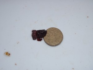  ( - GWS014366)  @11 [ ] Unspecified (default): All Rights Reserved  Unspecified Unspecified