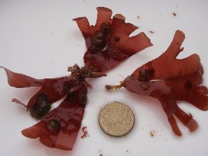  ( - GWS014392)  @11 [ ] Unspecified (default): All Rights Reserved  Unspecified Unspecified