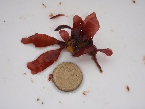  ( - GWS014397)  @11 [ ] Unspecified (default): All Rights Reserved  Unspecified Unspecified