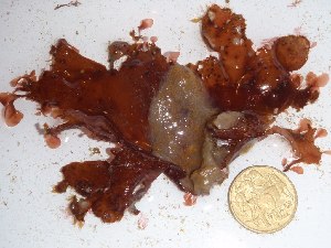 ( - GWS027301)  @11 [ ] Unspecified (default): All Rights Reserved  Unspecified Unspecified