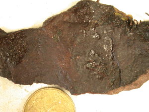  ( - GWS027593)  @11 [ ] Unspecified (default): All Rights Reserved  Unspecified Unspecified