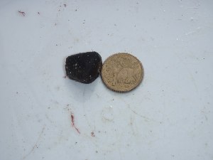  ( - GWS028523)  @11 [ ] Unspecified (default): All Rights Reserved  Unspecified Unspecified