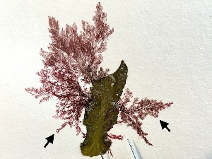  ( - GWS032798)  @11 [ ] Unspecified (default): All Rights Reserved  Unspecified Unspecified