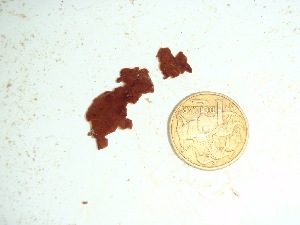  ( - GWS035008)  @11 [ ] Unspecified (default): All Rights Reserved  Unspecified Unspecified
