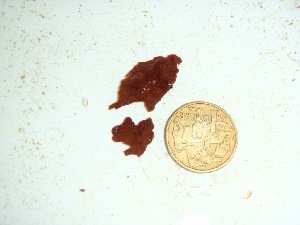  ( - GWS035009)  @11 [ ] Unspecified (default): All Rights Reserved  Unspecified Unspecified
