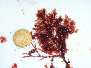  ( - GWS035120)  @11 [ ] Unspecified (default): All Rights Reserved  Unspecified Unspecified