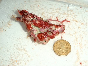  ( - GWS035538)  @11 [ ] Unspecified (default): All Rights Reserved  Unspecified Unspecified