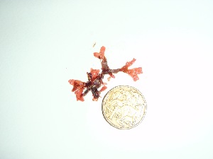 ( - GWS035640)  @11 [ ] Unspecified (default): All Rights Reserved  Unspecified Unspecified