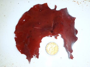  ( - GWS035791)  @11 [ ] Unspecified (default): All Rights Reserved  Unspecified Unspecified