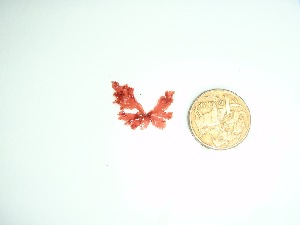  ( - GWS035979)  @11 [ ] Unspecified (default): All Rights Reserved  Unspecified Unspecified