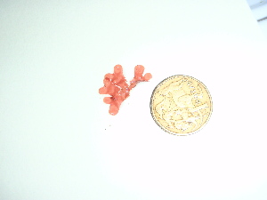 ( - GWS036055)  @11 [ ] Unspecified (default): All Rights Reserved  Unspecified Unspecified