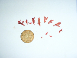  ( - GWS036064)  @11 [ ] Unspecified (default): All Rights Reserved  Unspecified Unspecified