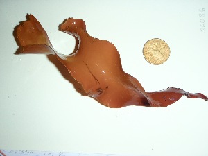  ( - GWS036086)  @11 [ ] Unspecified (default): All Rights Reserved  Unspecified Unspecified