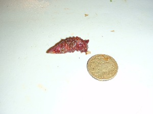  ( - GWS036108)  @11 [ ] Unspecified (default): All Rights Reserved  Unspecified Unspecified