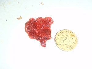  ( - GWS036121)  @11 [ ] Unspecified (default): All Rights Reserved  Unspecified Unspecified