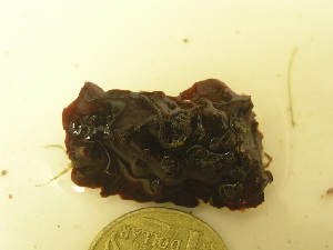  ( - GWS036434)  @11 [ ] Unspecified (default): All Rights Reserved  Unspecified Unspecified