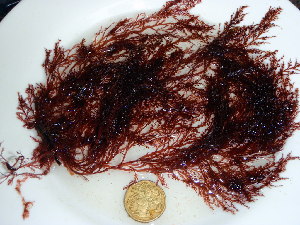  ( - GWS036765)  @11 [ ] Unspecified (default): All Rights Reserved  Unspecified Unspecified