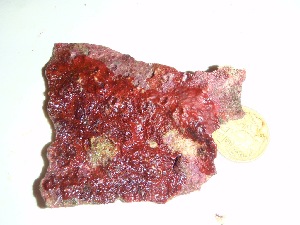  ( - GWS037311)  @11 [ ] Unspecified (default): All Rights Reserved  Unspecified Unspecified