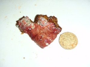  ( - GWS037338)  @11 [ ] Unspecified (default): All Rights Reserved  Unspecified Unspecified