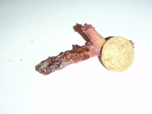  ( - GWS037363)  @11 [ ] Unspecified (default): All Rights Reserved  Unspecified Unspecified