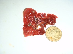  ( - GWS037391)  @11 [ ] Unspecified (default): All Rights Reserved  Unspecified Unspecified