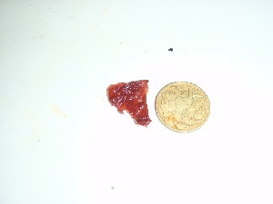  ( - GWS037396)  @11 [ ] Unspecified (default): All Rights Reserved  Unspecified Unspecified