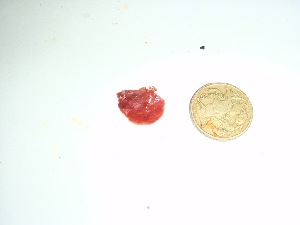  ( - GWS037397)  @11 [ ] Unspecified (default): All Rights Reserved  Unspecified Unspecified