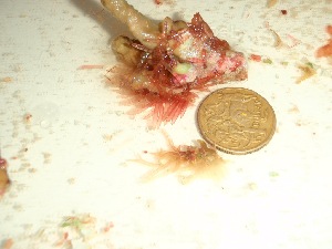  ( - GWS037609)  @11 [ ] Unspecified (default): All Rights Reserved  Unspecified Unspecified