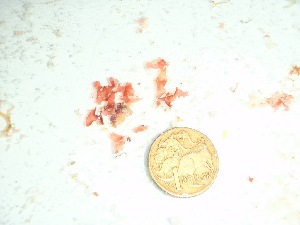  ( - GWS037637)  @11 [ ] Unspecified (default): All Rights Reserved  Unspecified Unspecified