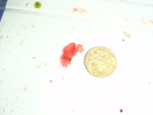  ( - GWS037724)  @11 [ ] Unspecified (default): All Rights Reserved  Unspecified Unspecified