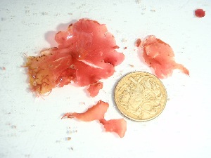  ( - GWS037736)  @11 [ ] Unspecified (default): All Rights Reserved  Unspecified Unspecified