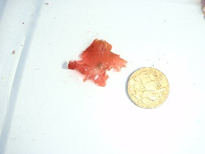  ( - GWS037754)  @11 [ ] Unspecified (default): All Rights Reserved  Unspecified Unspecified