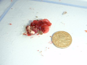  ( - GWS037756)  @11 [ ] Unspecified (default): All Rights Reserved  Unspecified Unspecified