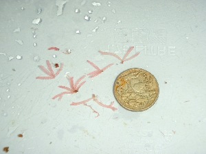  ( - GWS037802)  @11 [ ] Unspecified (default): All Rights Reserved  Unspecified Unspecified