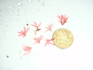  ( - GWS037803)  @11 [ ] Unspecified (default): All Rights Reserved  Unspecified Unspecified