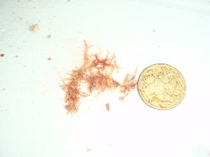  ( - GWS037815)  @11 [ ] Unspecified (default): All Rights Reserved  Unspecified Unspecified