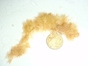  ( - GWS037861)  @11 [ ] Unspecified (default): All Rights Reserved  Unspecified Unspecified