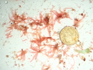 ( - GWS037906)  @11 [ ] Unspecified (default): All Rights Reserved  Unspecified Unspecified