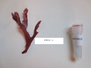  ( - GWS038133)  @11 [ ] Unspecified (default): All Rights Reserved  Unspecified Unspecified