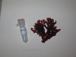  ( - GWS038156)  @11 [ ] Unspecified (default): All Rights Reserved  Unspecified Unspecified