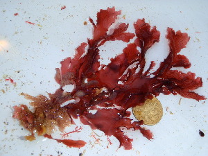  ( - GWS038442)  @11 [ ] Unspecified (default): All Rights Reserved  Unspecified Unspecified
