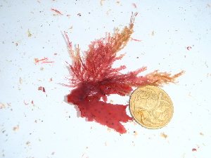  ( - GWS038443)  @11 [ ] Unspecified (default): All Rights Reserved  Unspecified Unspecified